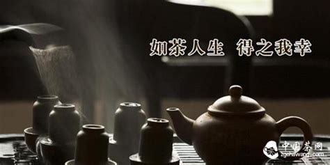 茶如人生，人生如茶。10种茶语，暗示10种人格 | 茶奥网
