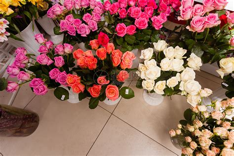 收集美丽的玫瑰家花卉商店出售花店里的花玫瑰高清图片下载-正版图片300132146-摄图网