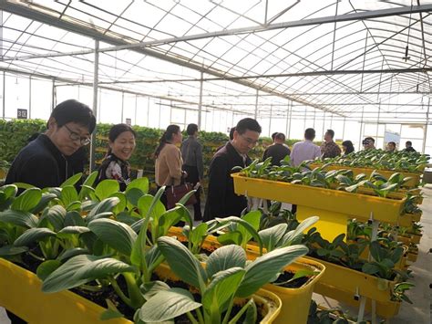 园艺学院共建的中国农技协科技小院获中国农技协、福建省农技协表彰