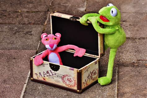 Free Images : play, travel, green, holiday, box, frog, fig, chest ...