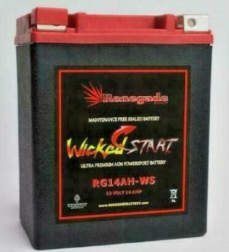REPLACEMENT BATTERY FOR POLARIS OEM 4011138 / 4011359; RG14AH-WS 400 ...