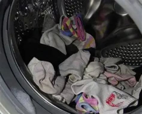 洗衣机洗袜子卫生吗？有人做了这项实验！_手机新浪网
