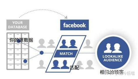「Facebook入门教程1」Facebook广告架构及广告创建实操教程 - 维睿互动VEERY