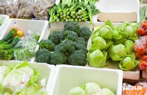 鲜蔬菜配送图片_鲜蔬菜配送设计素材_红动中国