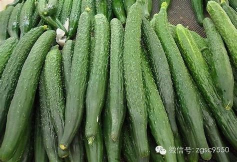 行情 | 上周北京新发地蔬菜价格波动如何？ - 中国蔬菜 - 新农资360网|土壤改良|果树种植|蔬菜种植|种植示范田|品牌展播|农资微专栏