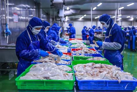 山东海都：亚洲最大的鱿鱼精深加工基地 -威海新闻网