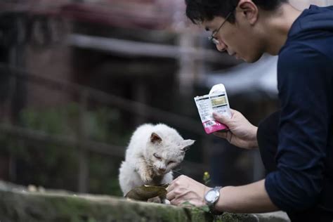 温暖！广州市这位老师自掏腰包救助流浪动物，甘做它们的守护天使 -信息时报