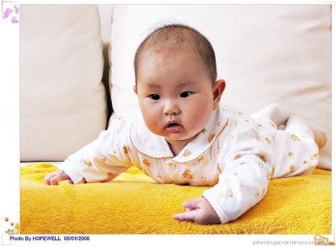 六个月婴儿图片,六个月宝宝图片,六个月婴儿对眼的图片_大山谷图库
