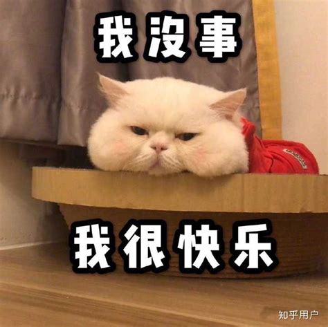 表情包有事图片