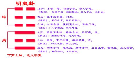 64卦卦象图图片
