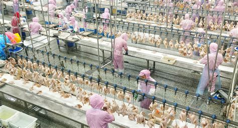 肉鸡屠宰精深加工体系-全产业链-广州市江丰实业股份有限公司