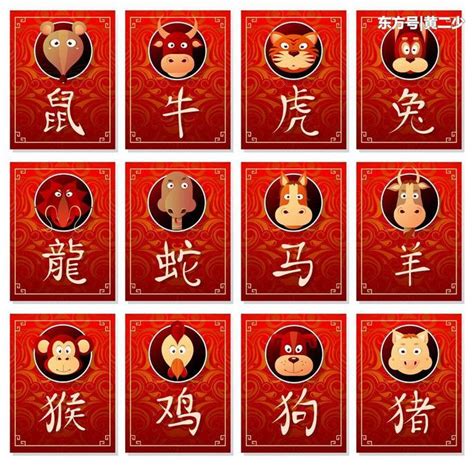 24生肖顺序表带拼音(详解中国传统文化中的十二生肖顺序表) - 星辰运势