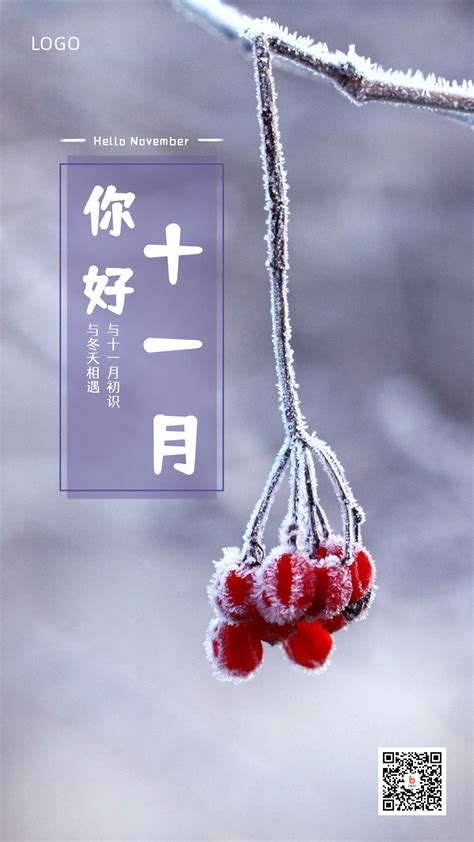 十一月你好问候语秋冬霜雪红色果实实景照片手机海报-比格设计