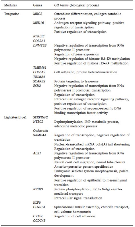一种日本鳗鲡芳香化酶cyp19a1基因启动子及其应用