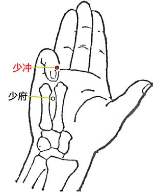 少冲的准确位置图图片 少冲的准确位置图图片