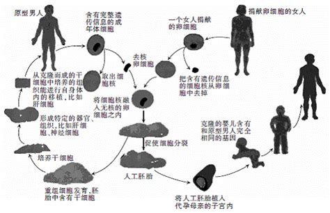 分子克隆方法总括-孟文举-HB170807-公司动态-翌圣生物科技（上海）股份有限公司