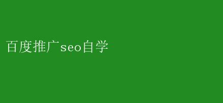 百度SEO推广自学秘籍，掌握流量密码 百度推广seo自学 _ 【IIS7站长之家】