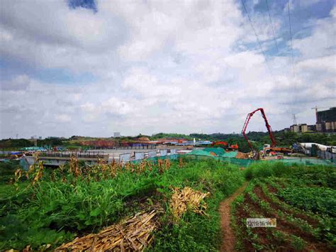 宜昆河——自贡东部新城的一颗明珠|湿地_新浪新闻