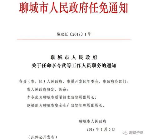 任命书-通知公告-中国国际救援应急管理集团有限公司