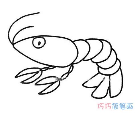 幼儿卡通虾怎么画好看_简单虾的画法简笔画图片 - 巧巧简笔画
