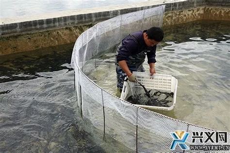 推进由“大”到“强”：湖北水产业以创新驱动转型升级-中国水产科学研究院渔业机械仪器研究所网站