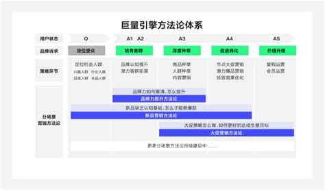 年轻商人向同事解释营销数据高清图片下载-正版图片507298654-摄图网