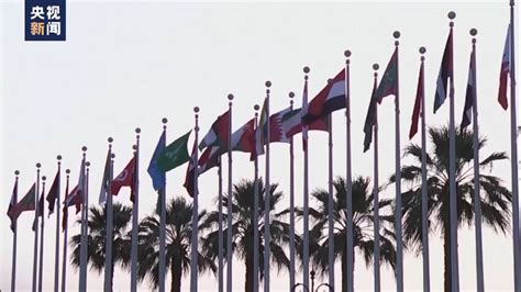 卡塔尔学者：叙利亚重返阿盟表明美国中东政策失败 - 国际新闻 - 陕西网