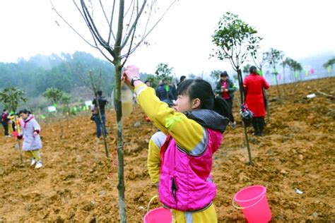 “认种一棵树”义务植树小程序正式发布-长者易用专区-广东省林业局