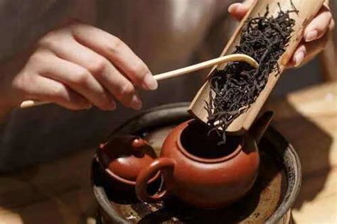 中国哪里能买正宗的普洱茶-茶语网,当代茶文化推广者