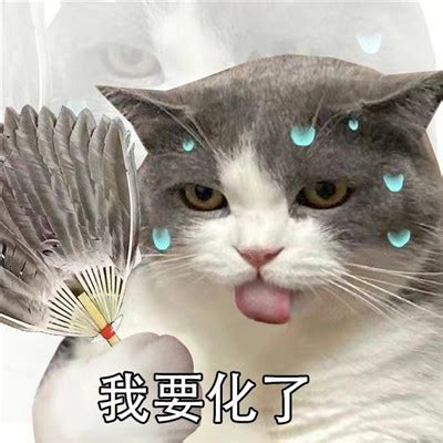 晒化了图片