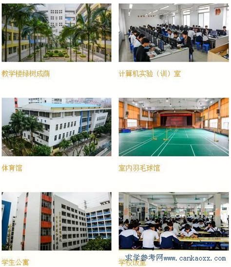 广州番禺职业技术学院是几本？学费多少？2023分数线是多少？