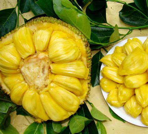 菠萝蜜的功效与作用及食用方法_菠萝蜜的禁忌-聚餐网