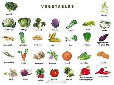 常见蔬菜图片及名称_常见蔬菜名称大全有图_微信公众号文章