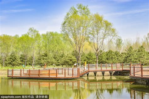 2020柳荫公园-旅游攻略-门票-地址-问答-游记点评，北京旅游旅游景点推荐-去哪儿攻略