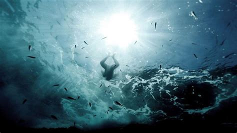 潜水员深海发现神秘海洋生物：全身透明还不怕人_凤凰网