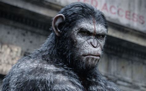 《猩球崛起4》官宣明年开拍，2024年上映，猩猩要全面占领地球了_系列_作品_电影