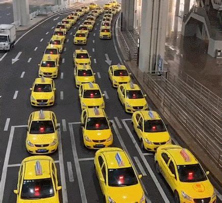 重庆首批百台睿蓝枫叶60S巡游出租车正式投入运营__凤凰网