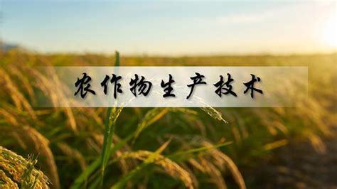 我院农学分院作物生产技术专业圆满完成水稻播种教学实习-黑龙江农业经济职业学院新闻网