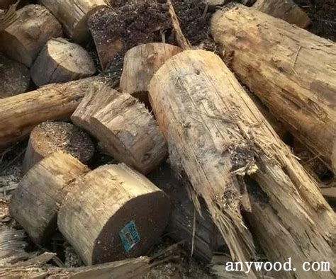 废木料回收多少钱一吨，废木料值得回收吗_行业资讯_木头云