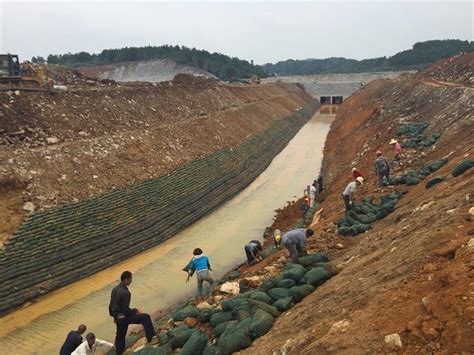 从“一湖九河”到全域水系治理——修复长江生态的“安庆实践”__凤凰网