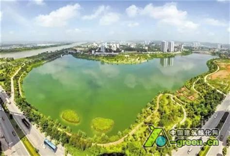合肥城市绿化管理昨起执行新政 老城区绿化有了新要求_中国建筑绿化网