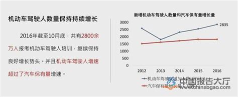 2023年驾校市场现状与前景 - 2023-2029年中国驾校行业市场调研与发展趋势分析报告 - 产业调研网