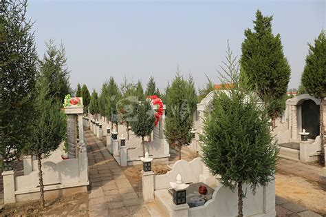 墓碑展示,山西公墓,平定公墓-平定县冠山松鹤墓园有限公司