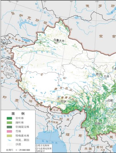 近五年，中国森林资源最权威的数据都在这里！_澎湃新闻-The Paper