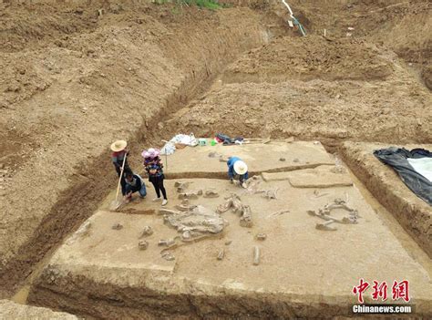 秦始皇陵殉葬坑 发现大量女性尸骨竟是活人殉葬