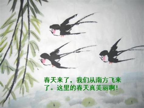 十二首描写燕子的诗句，最是一年春好时 | 说明书网