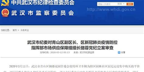 武汉市纪委对青山区副区长骆蓉党纪立案审查_手机新浪网