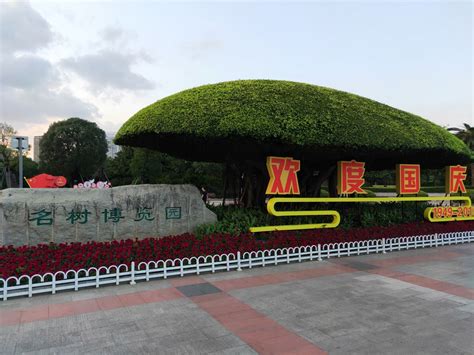 世界上最珍贵的4棵树，树中“贵族”就长在中国，价值超过1亿_树木