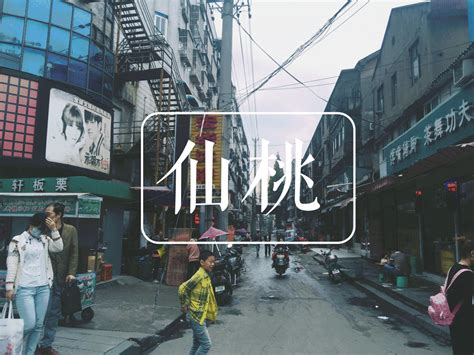 仙桃.图片