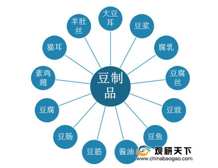 《2020年中国豆制品行业市场前景及投资研究报告》__财经头条